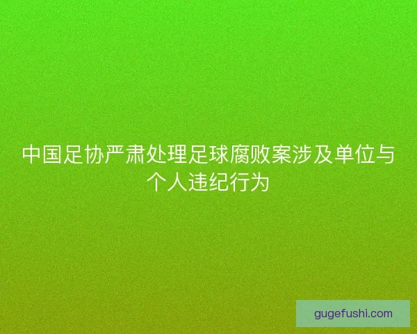 中国足协严肃处理足球腐败案涉及单位与个人违纪行为