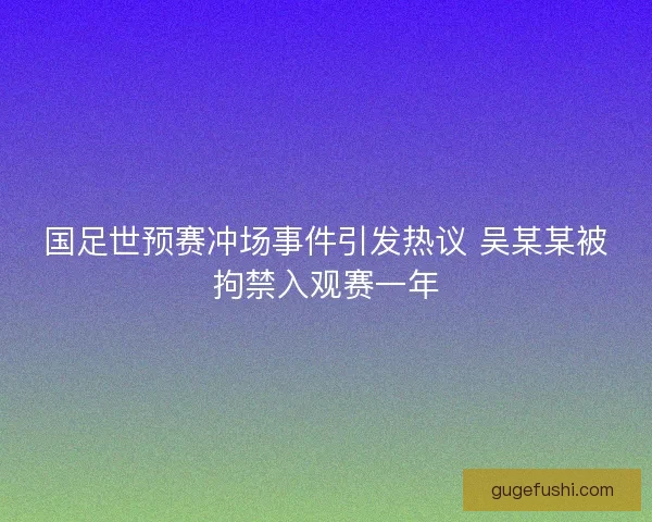 国足世预赛冲场事件引发热议 吴某某被拘禁入观赛一年